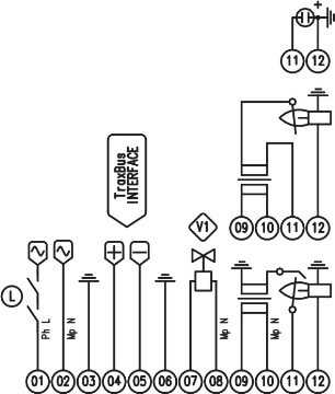 eletric eletric